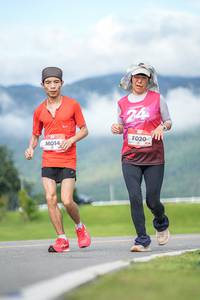 BIB: 
                            <button type="button" onclick="openModal(26541430)" class="btn btn-primary btn-sm float-right btn-popup" data-toggle="modal" data-target=".modal-high-quality">
                        <i class="fas fa-shopping-cart"></i> Add to Cart
                    </button>
                                            <button type="button" onclick="isThisMe(26541430, true)" class="btn btn-success btn-sm float-right btn-popup btn-isme hidden" data-toggle="tooltip" data-placement="bottom" title="นี่คือรูปของคุณใช่ไหม คลิกที่นี่เพื่อเอาเข้าอัลบั้ม">
                        <i class="fas fa-plus"></i> Add to album
                    </button>
                    <button type="button" onclick="isThisMe(26541430, false)" class="btn btn-warning btn-sm float-right btn-popup btn-isnotme hidden">
                        <i class="fas fa-ban"></i> Remove from album
                    </button>